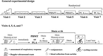 Photobiomodulation 30 min or 6 h Prior to Cycling Does Not Alter Resting Blood Flow Velocity, Exercise-Induced Physiological Responses or Time to Exhaustion in Healthy Men